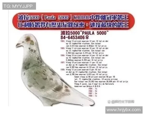 足球周刊评选百大球星榜单：历史与现役的荣耀碰撞与未来的传奇之路